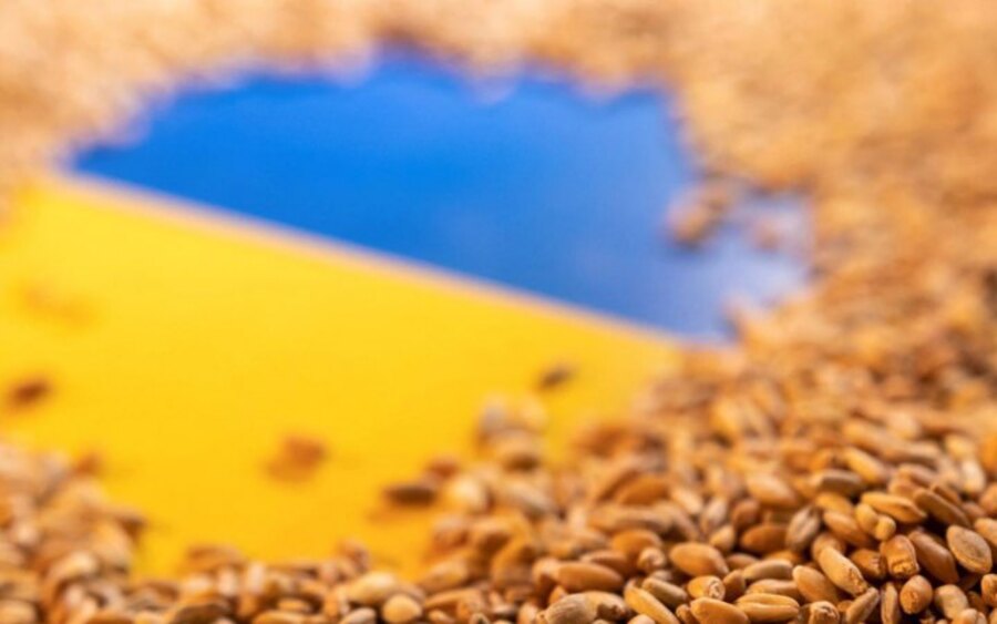 Три порти України відновили роботу та готуються розпочати експорт зерна
