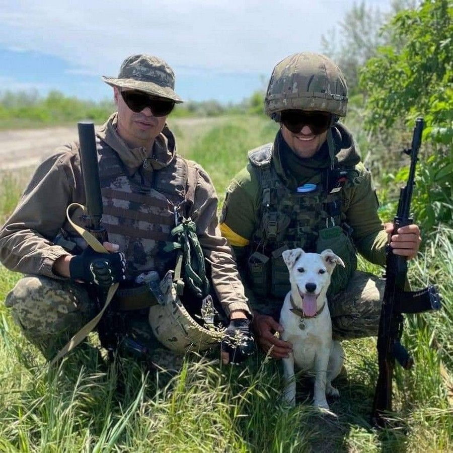 Ворог спробував наступати біля кордону з Дніпропетровщиною: війна в Україні 2 вересня - ситуація на фронті