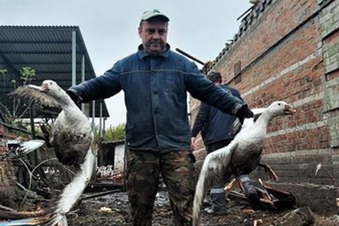 «Перебирали квасолю під віконцем»: троє членів однієї родини загинули на Харківщині внаслідок ракетного удару
