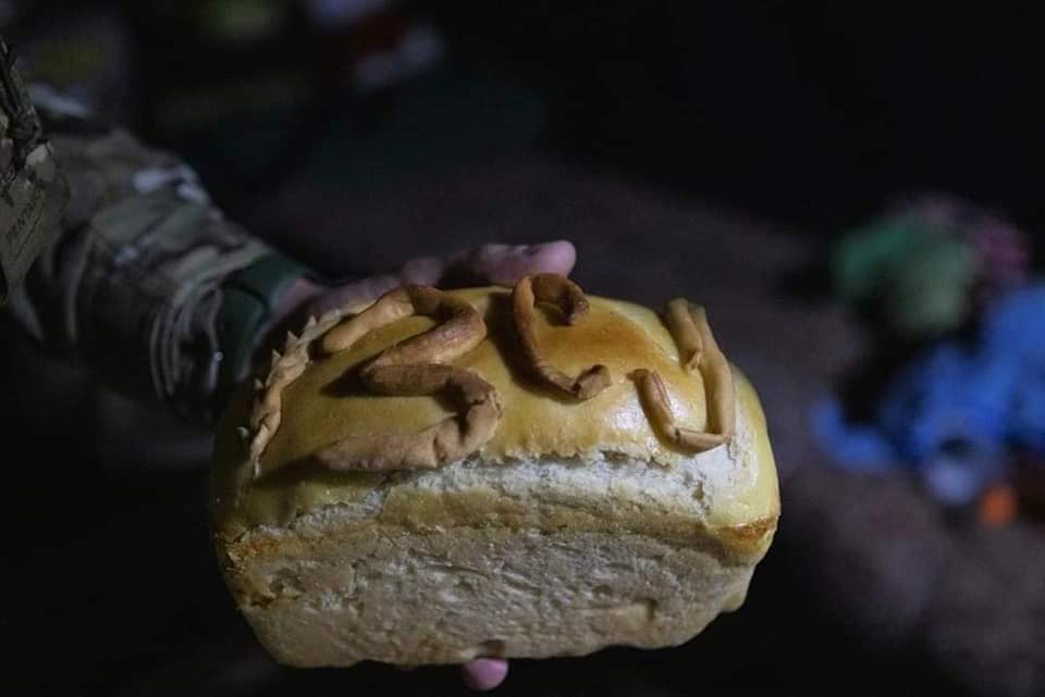Мінус 710 окупантів, літак і 5 БПЛА - війна в Україні 8 листопада, ситуація на фронті