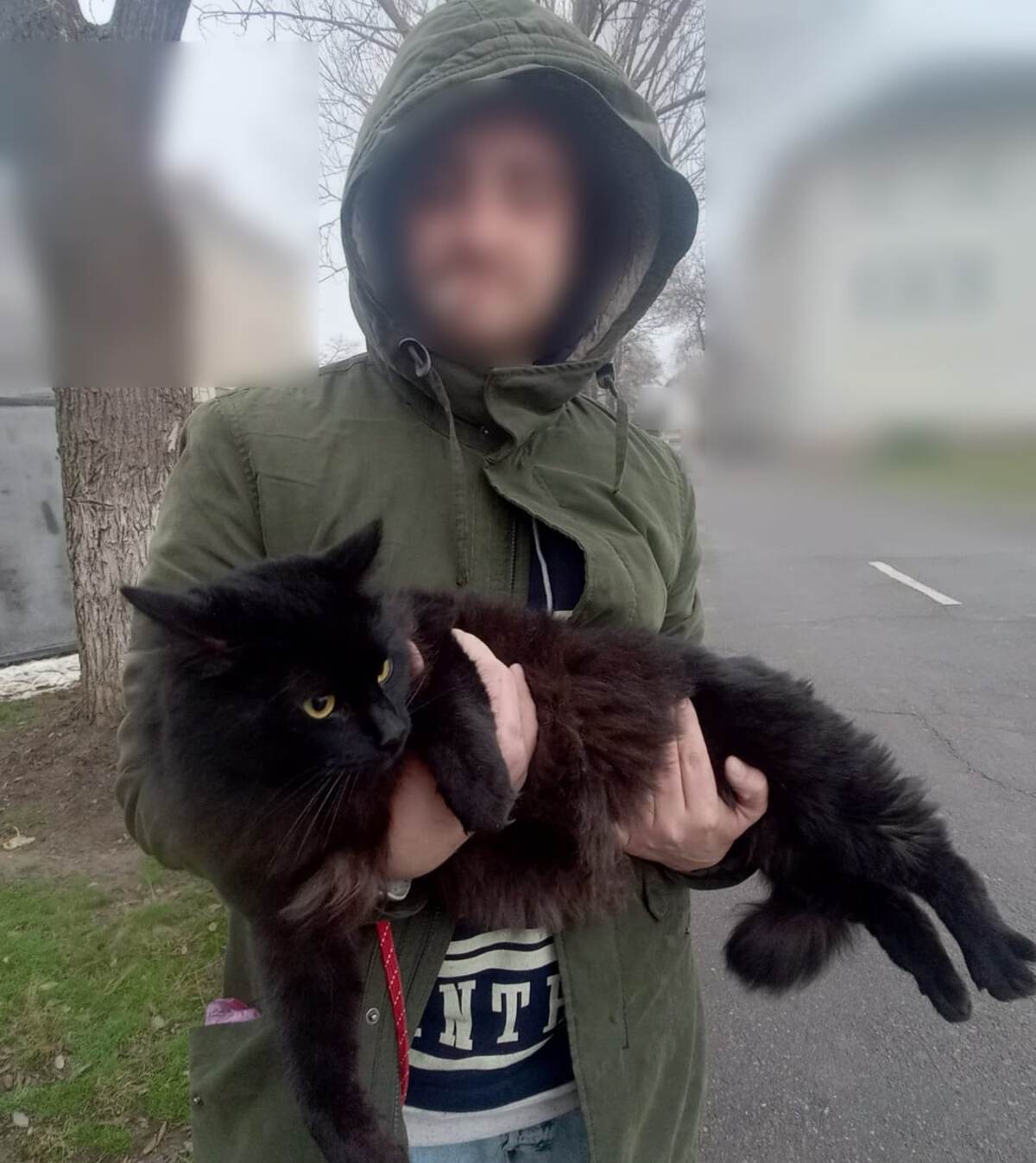 Намагався перетнути кордон разом з котом - прикордонники затримали 28-річного одесита