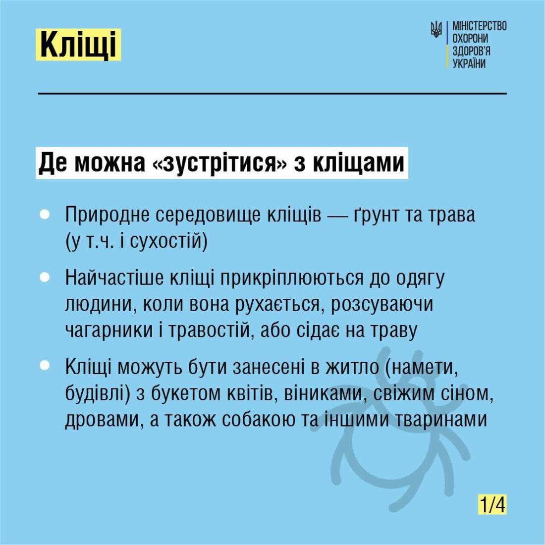 Як вберегтися від кліщів – поради спеціалістів