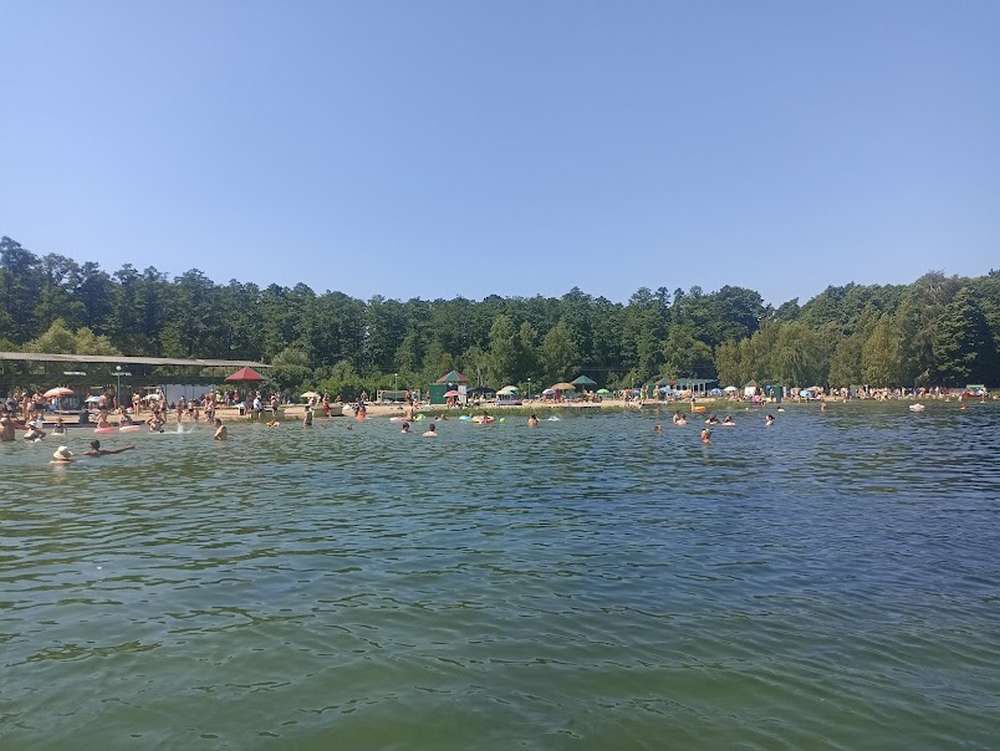 Відпочинок на Шацьких озерах-2023: лебеді, пончики, сомики, лохина і дивовижно чиста вода (фото)