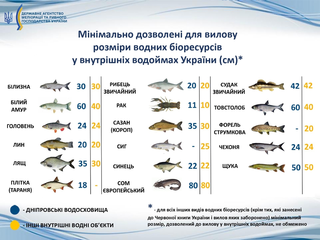 рибалка