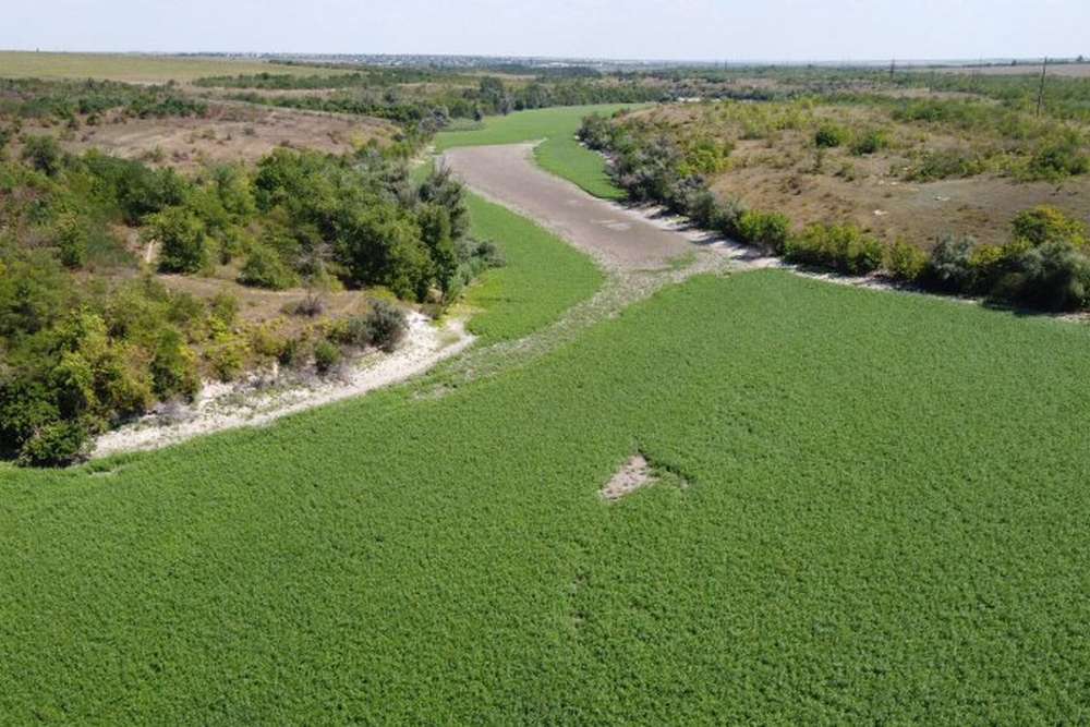 Як агробізнес на півдні виживатиме без Каховського водосховища