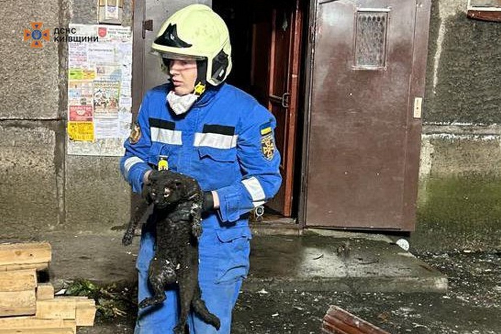 Вибух у Білій Церкві: що відомо станом на ранок 31 березня (фото, відео)