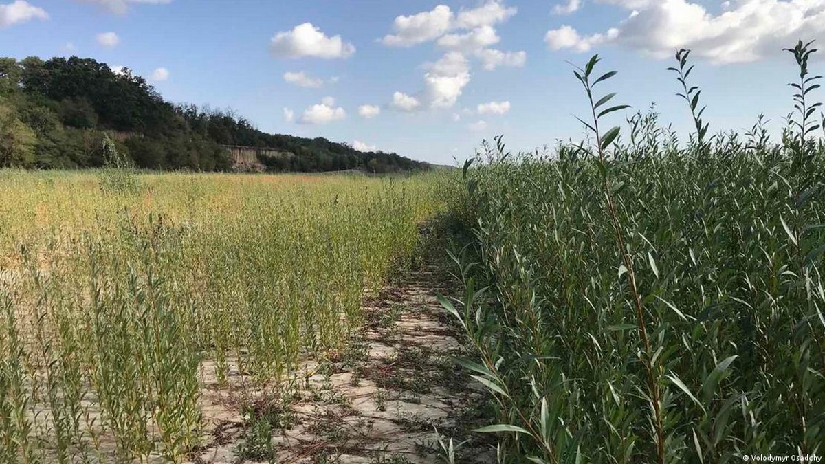 Щороку Каховське водосховище наповнюватиметься водою, але рівень небезпеки коричневий