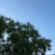 Вибухи у Севастополі - окупанти застосували системи ППО