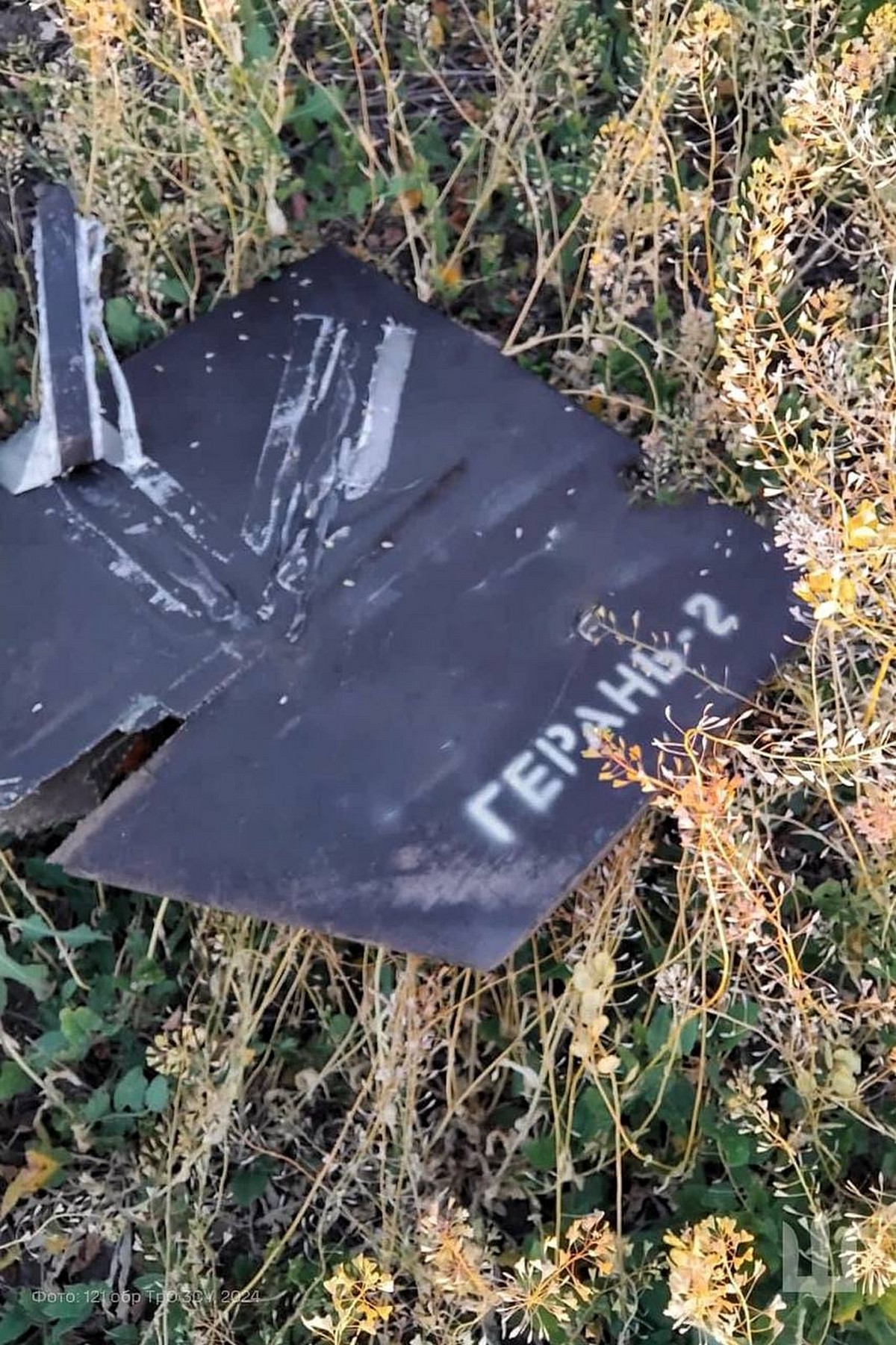Нічна повітряна атака 2 червня: скільки було ворожих цілей і скільки збили – все, що відомо