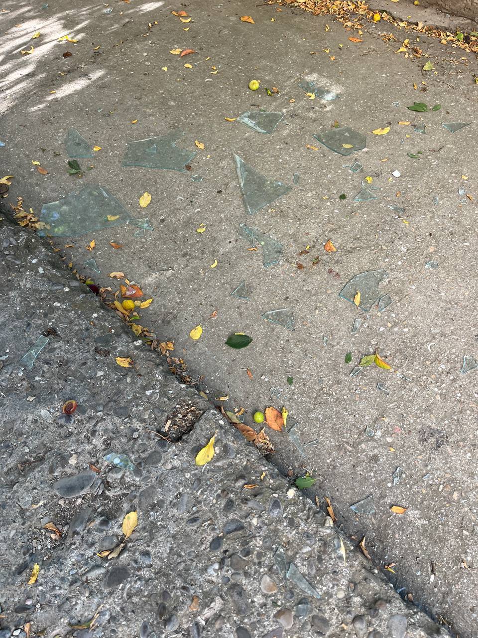 photo 2024 06 08 09 39 53