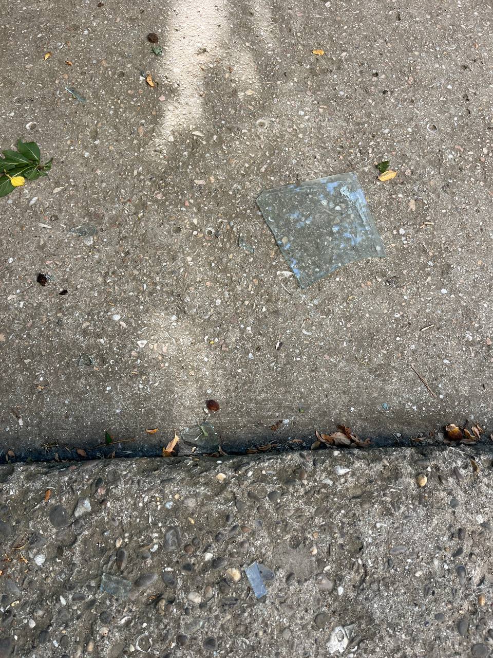 photo 2024 06 08 09 39 54