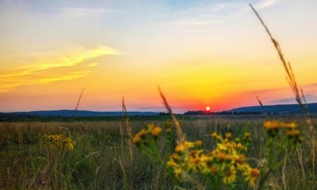 Друга і третя декади липня принесуть полегшення всій Україні. До середини липня в Україні очікується період аномально спекотної та сухої погоди з можливими максимальними температурами до +40 °С. У другій і третій декадах липня температура зміниться. Про це повідомив синоптик Ігор Кібальчич. “14 липня на територію країни надійде гаряча та суха повітряна маса з пустель Середньої Азії. Через високий атмосферний тиск значних опадів не передбачається, лише в західних регіонах можливі локальні грозові зливи. Температура повітря буде суттєво вищою за норму, а в окремих місцях, можливо, будуть встановлені рекорди”, – зазначив Кібальчич. Тільки у другій і третій декадах липня температурне тло дещо знизиться. “Це станеться завдяки ослабленню блокуального антициклону та деякій активізації синоптичних процесів із заходу. Однак попри все, середньодобові температури залишатимуться вищими за норму. Щодо опадів, то вони будуть випадати нерівномірно”, – додав він. За прогнозами синоптика, найбільше дощитиме в західних областях, на півдні та сході дощів не очікується.