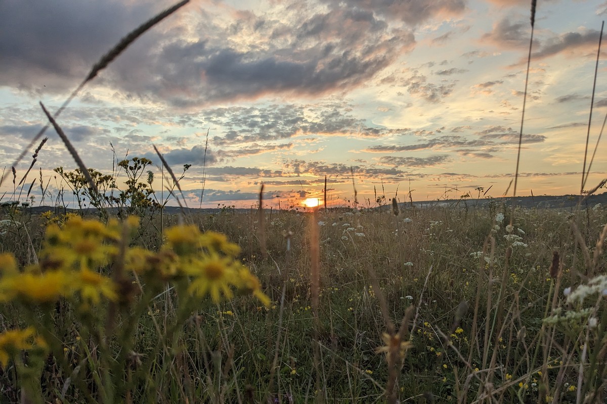 8 серпня – яке сьогодні