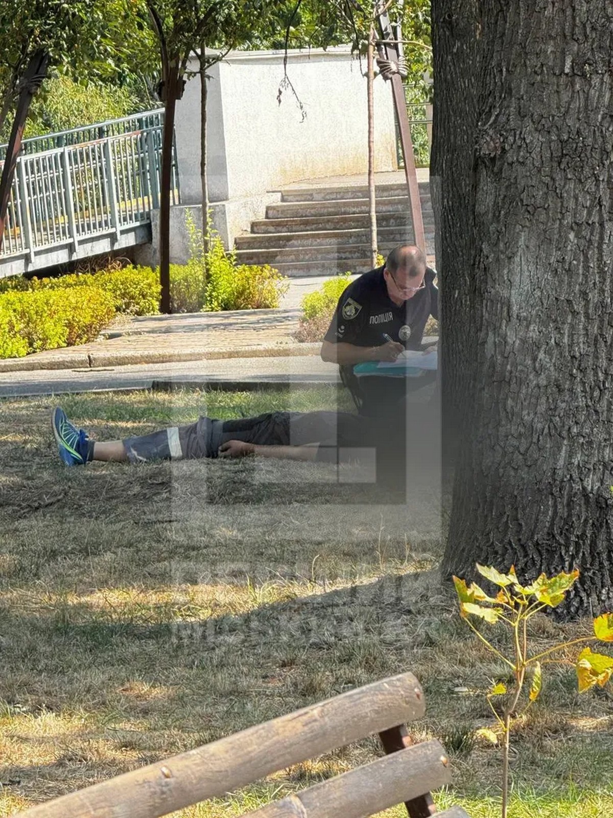 У Кривому Розі комунальник помер після укусів комах, які напали на нього у парку 