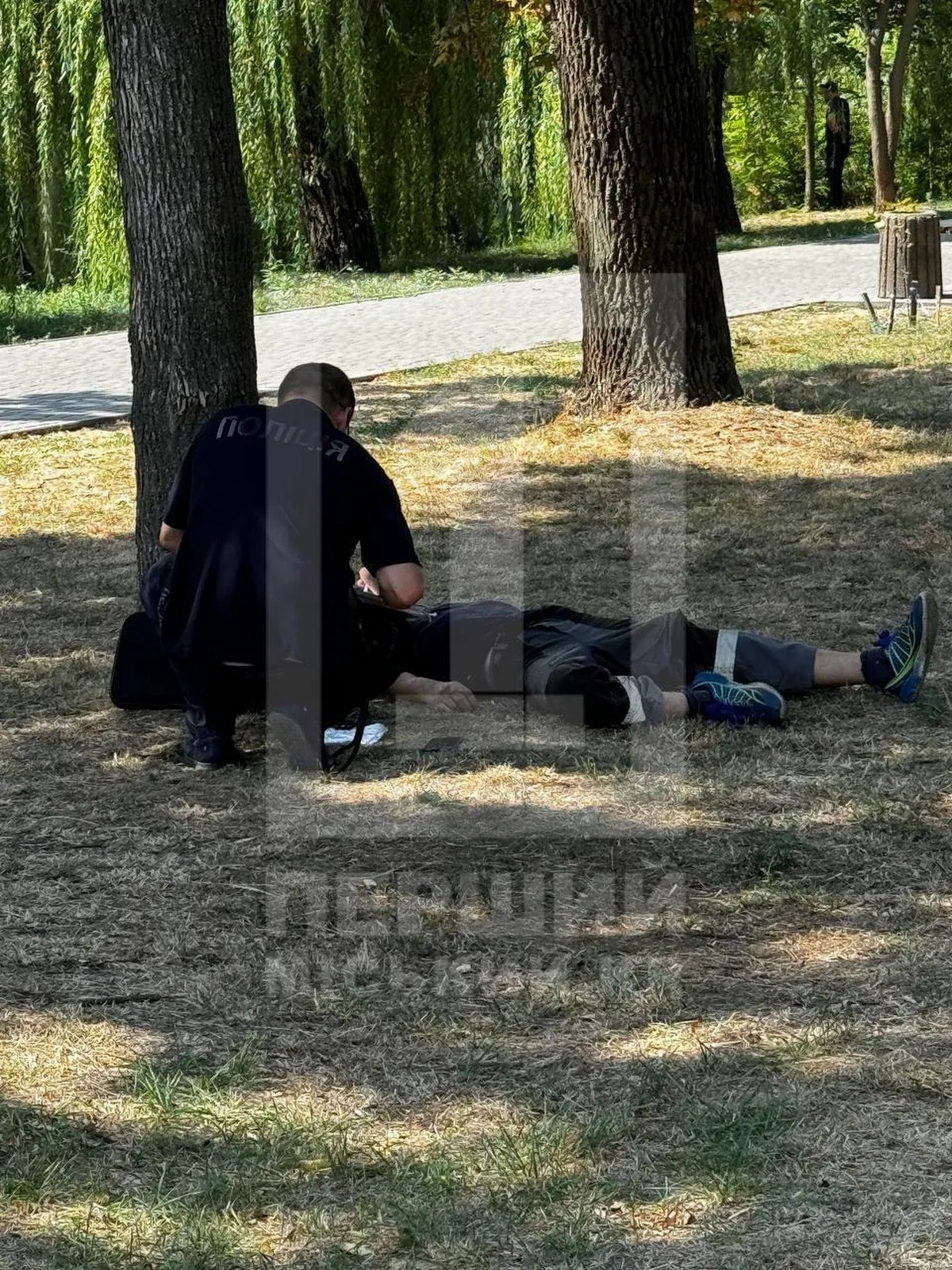 У Кривому Розі комунальник помер після укусів комах, які напали на нього у парку 