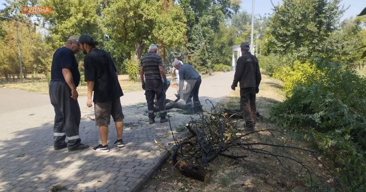 У Кривому Розі комунальник помер після укусів комах, які напали на нього у парку  