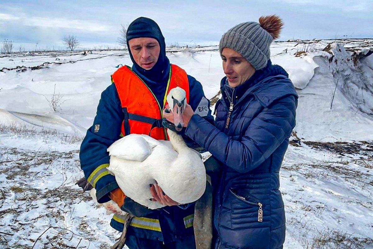 Рятують не тільки людей -