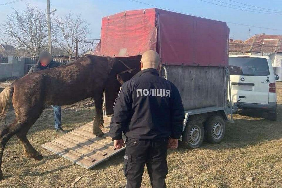 Бив коня та знущався над