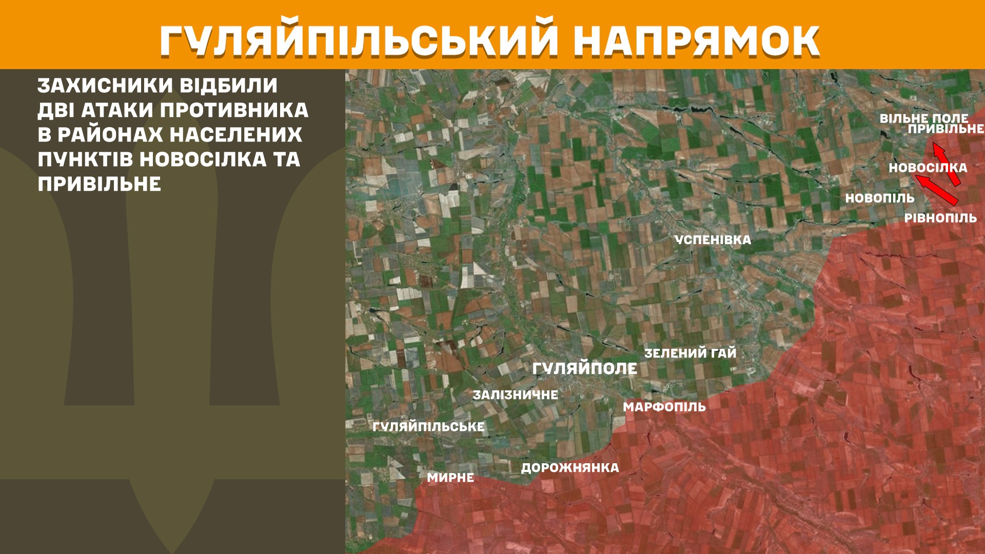 гуляйпільський