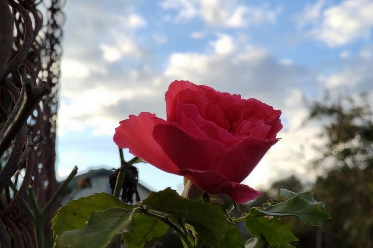 15 квітня  – яке сьогодні