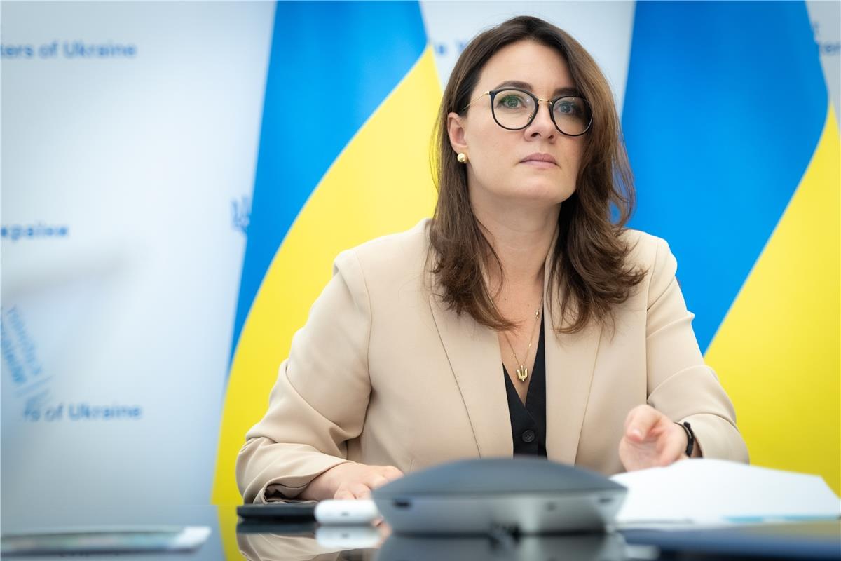 Угода про копалини: українська делегація