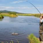 На Дніпропетровщині дозволили риболовлю – які види риби заборонено ловити: перелік
