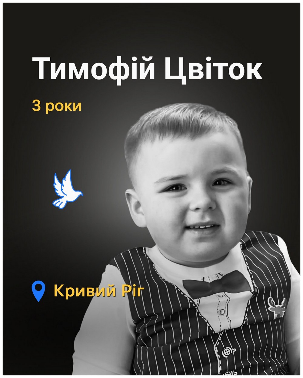 Меморіал: вбиті росією. Тимофій Цвіток, 3 роки, Кривий Ріг, квітень