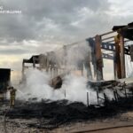 Окупанти завдали серйозного удару по українському картоплярству (фото)