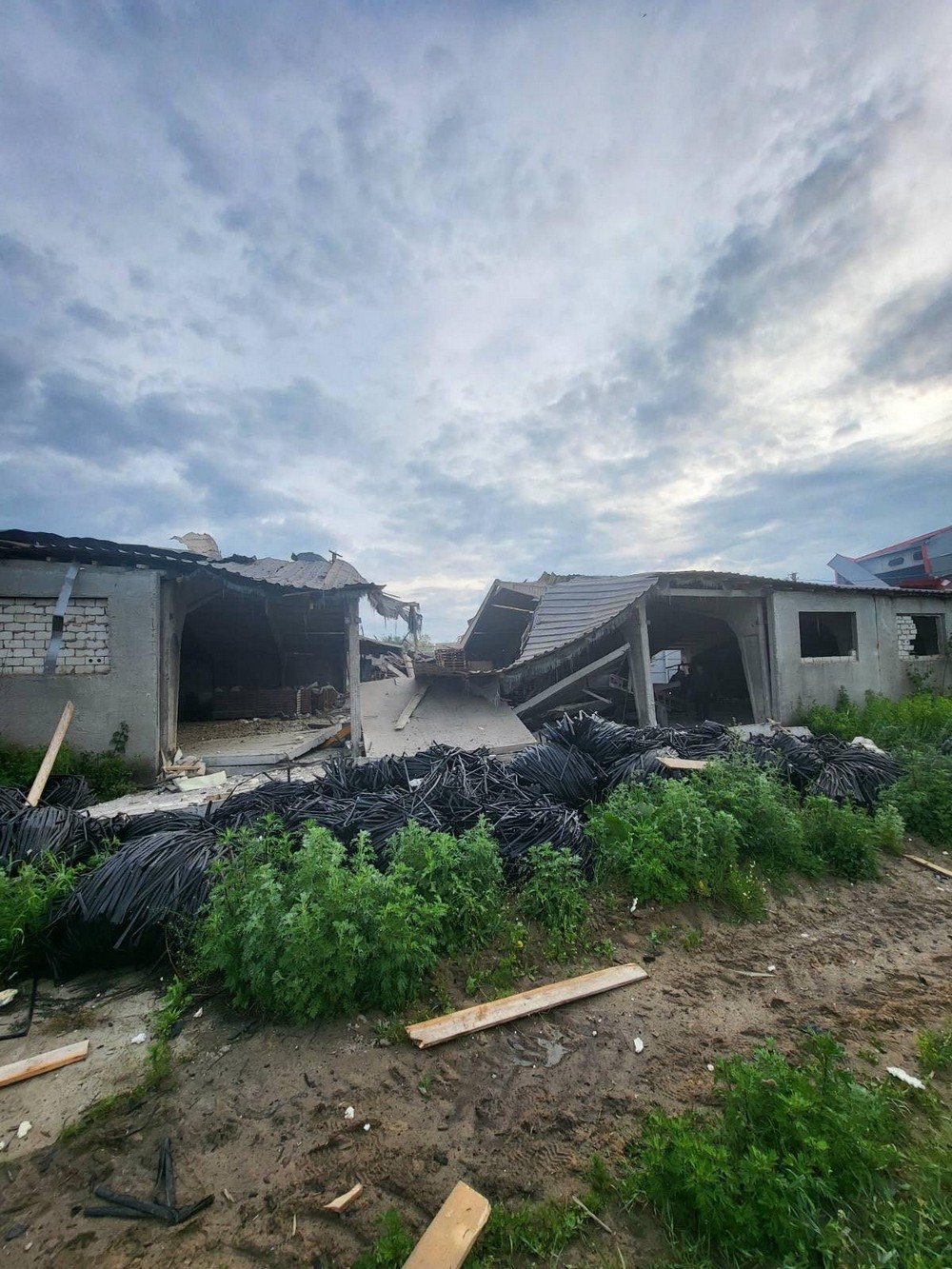 серйозного удару по українському картоплярству