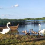 28 травня – яке сьогодні свято, прикмети і традиції, пам’ятні дати, іменини