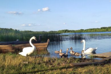 28 травня – яке сьогодні свято, прикмети і традиції, пам’ятні дати, іменини