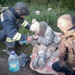 Нічна повітряна атака 8 травня: люди під завалами, бомби під час «перемир’я» – все, що відомо (фото, відео)