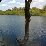 Ворог намагається форсувати Дніпро, але