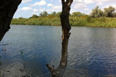 Ворог намагається форсувати Дніпро, але