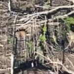 Окупанти розстріляли двох українських військовополонених на Покровському напрямку – що відомо