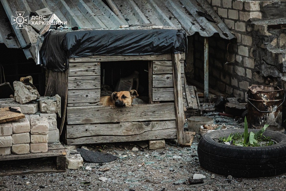 Фото наслідків атаки на Харківщину