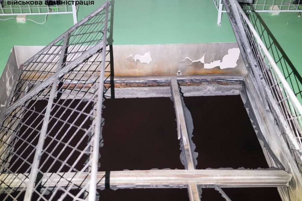 photo 2025 05 01 22 51 57