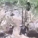 Окупанти розстріляли трьох полонених українських
