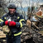 Є постраждалі, врятували кролика під