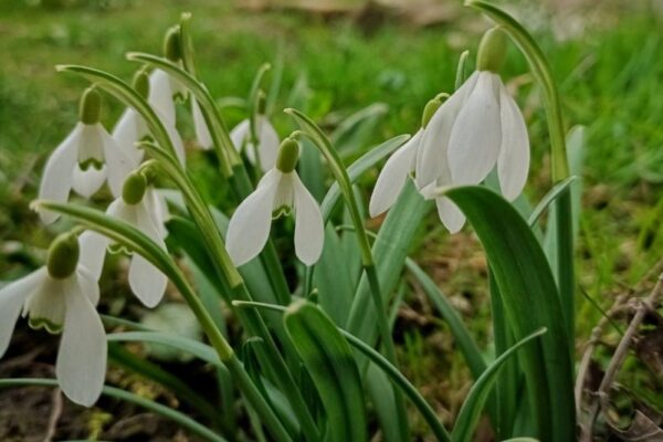 погода в Україні 3 і 4 травня 3