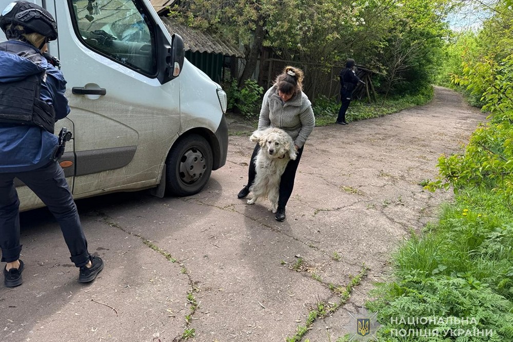 Залишилася єдина на своїй вулиці - з Сумщини евакуювали жінку з 12 собаками