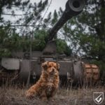 Обстановка на фронті 2 червня: ворог скинув 115 бомб і 5854 разів обстріляв наші позиції