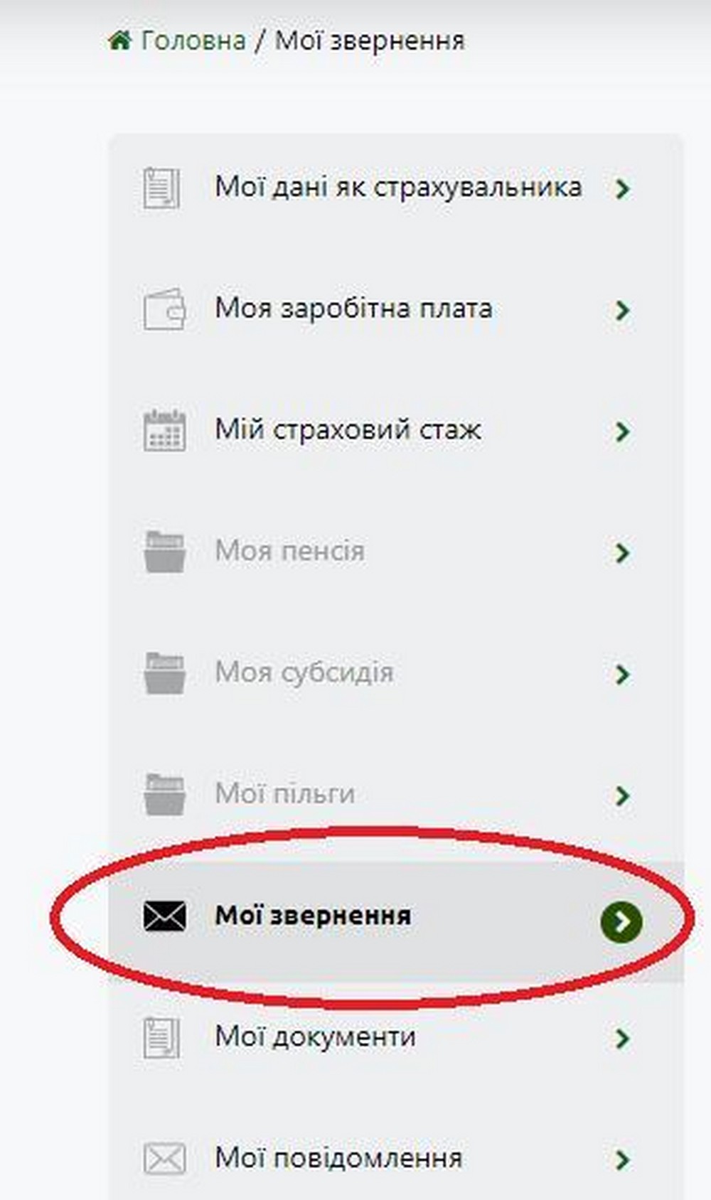 Як пенсіонеру за кордоном оформити довідку про доходи онлайн: покрокова інструкція
