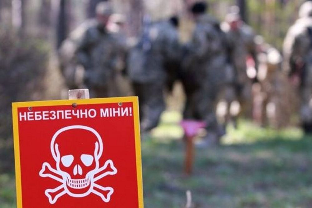 Через вибухи невідомих предметів постраждали троє дітей в 2 областях - ДСНС 1 Через вибухи невідомих предметів постраждали троє дітей в 2 областях - ДСНС