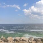 Без відновлення Каховського водосховища буде екологічне лихо – заяви на Міжнародній науково-практичній конференції