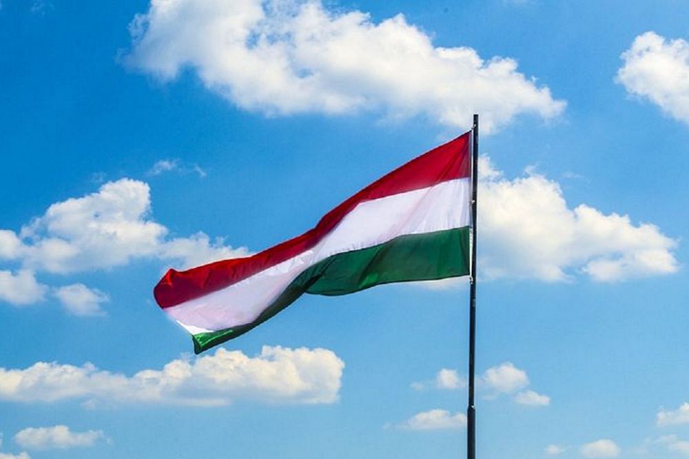 Цікавились розташуванням ППО і не тільки - Зеленський розповів про шпигунів Угорщини на Закарпатті