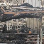 Теракт в Оленівці здійснила РФ