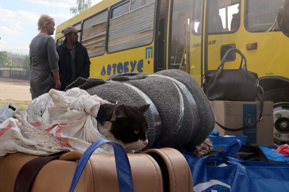 "Бусифікації" не буде: на Дніпропетровщині оголосили примусову евакуацію в трьох громадах, але мешканців просять не панікувати 1 "Бусифікації" не буде: на Дніпропетровщині оголосили примусову евакуацію в трьох громадах, але мешканців просять не панікувати