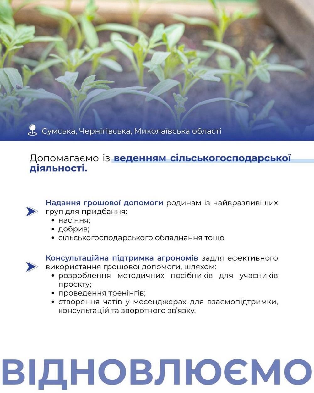 Грошова допомога для мешканців трьох областей від «Янголи Спасіння»: хто і на що може отримати кошти