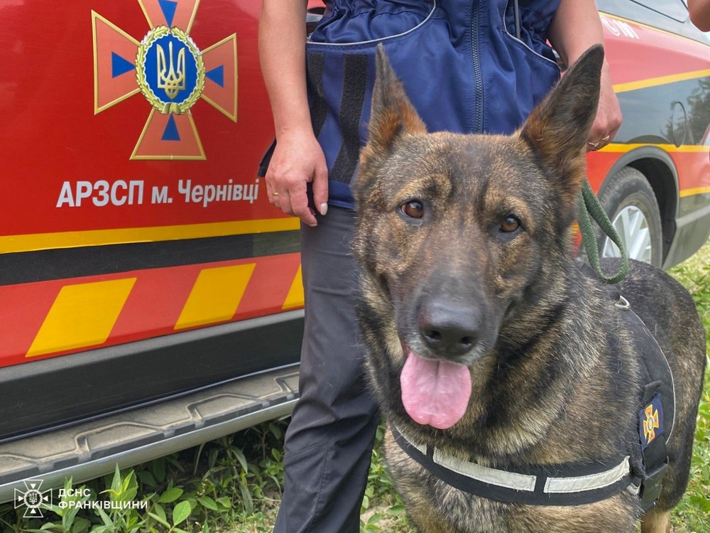 П’ятирічного Кирила рятувальники Спеціального авіаційного загону ДСНС України виявили за допомогою дрона.